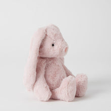 Load image into Gallery viewer, Personalised Jiggle &amp; Giggle Medium Bunny | Pink side
