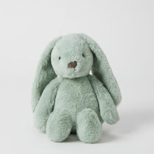 Load image into Gallery viewer, Personalised Jiggle &amp; Giggle Medium Bunny | Green front view

