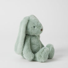 Load image into Gallery viewer, Personalised Jiggle &amp; Giggle Medium Bunny | Green side view

