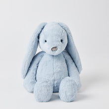 Load image into Gallery viewer, Personalised Jiggle &amp; Giggle Medium Bunny | Pale Blue front view
